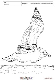 Marti Boyama Sayfalari