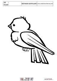 Serce Boyama Sayfalari