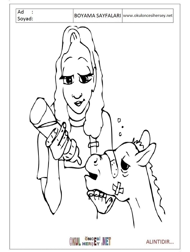 Veteriner Boyama Sayfalari