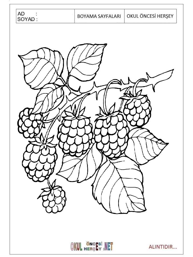 taba coloring pages - photo #21