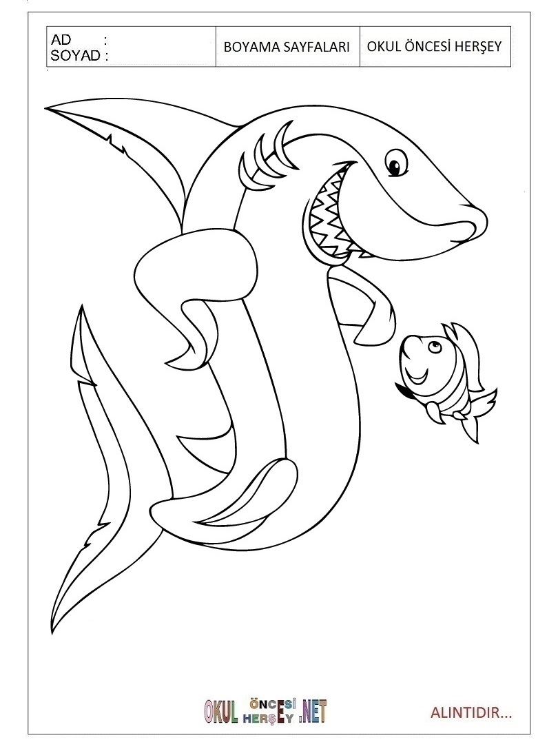 111 Kopek Baligi Shark M Aktivitesi Satin Al Kirmizi Sato Kum Boyama