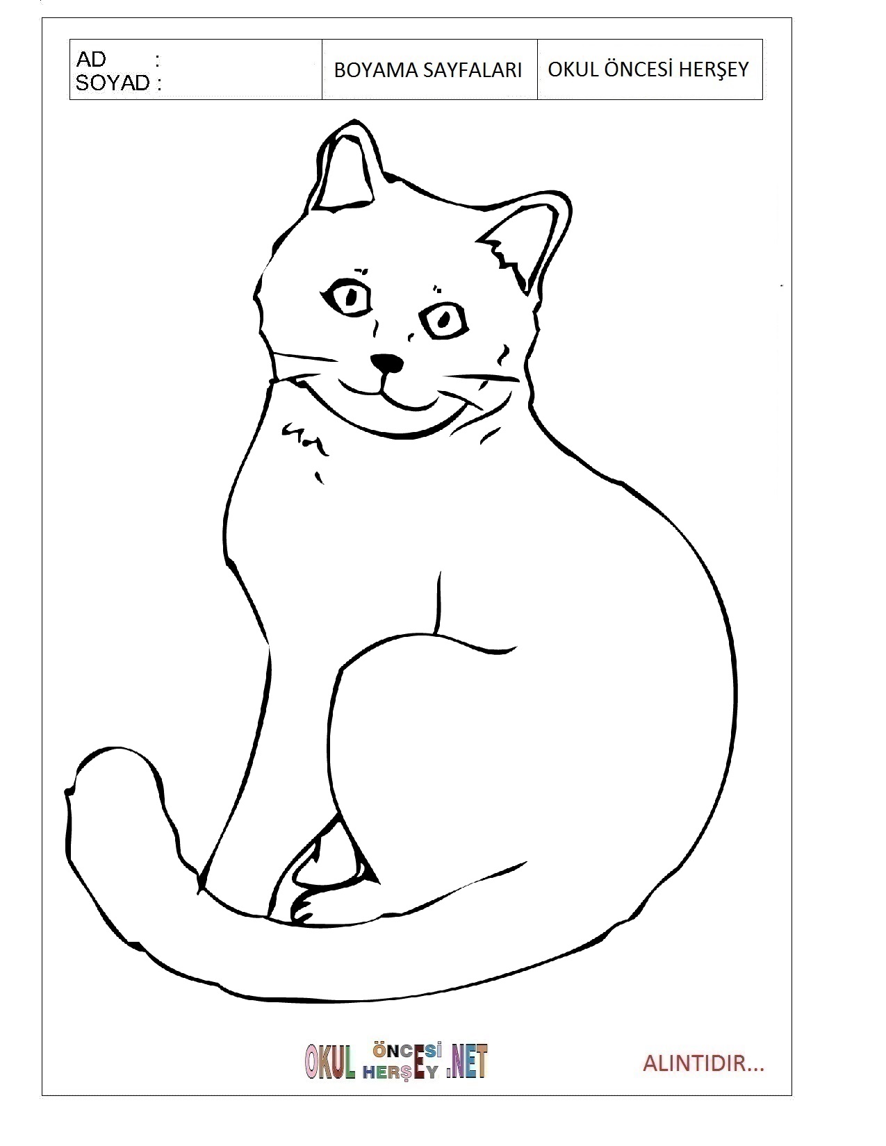 Kedi Boyama Okul Oencesi