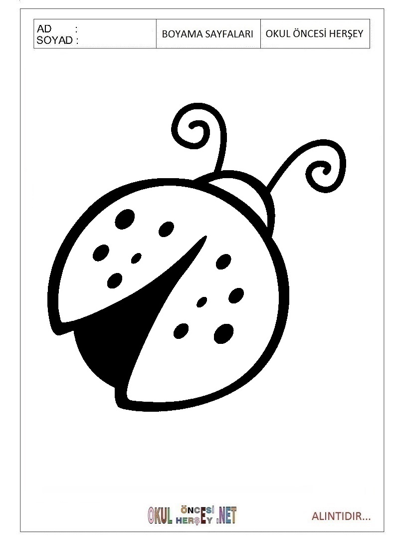 lady bug coloring sheet