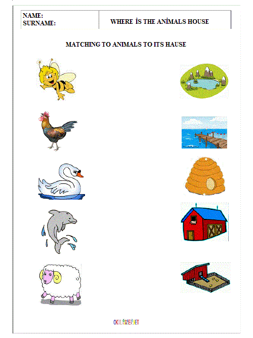 for worksheet  MATCHÄ°NG animal TO homes TO HOMES preschoolers   Frompo Images ANÄ°MALS