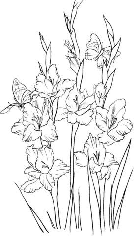 Çocuklar İçin Gladiolus Boyama Sayfaları 