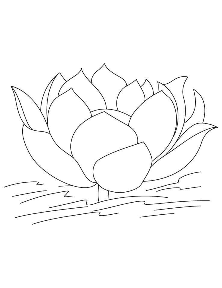 Çocuklar İçin Lotus Boyama Sayfaları 