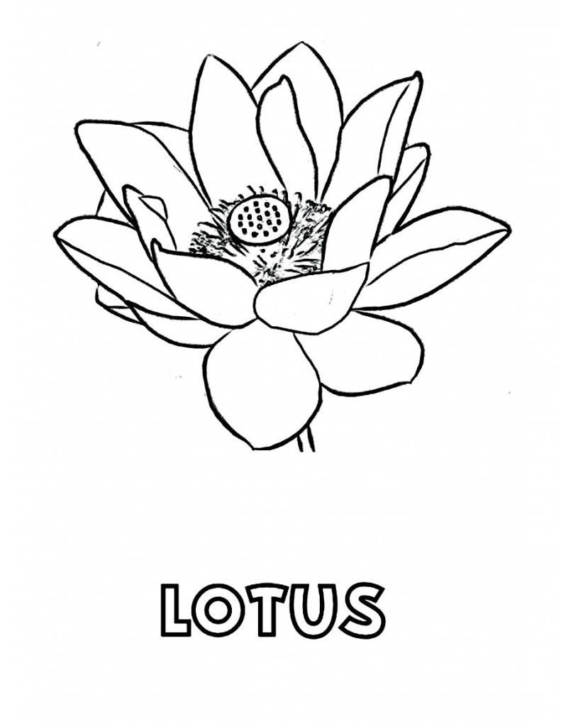 Çocuklar İçin Lotus Boyama Sayfaları 