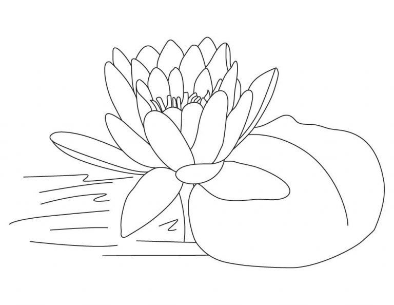 Çocuklar İçin Lotus Boyama Sayfaları 