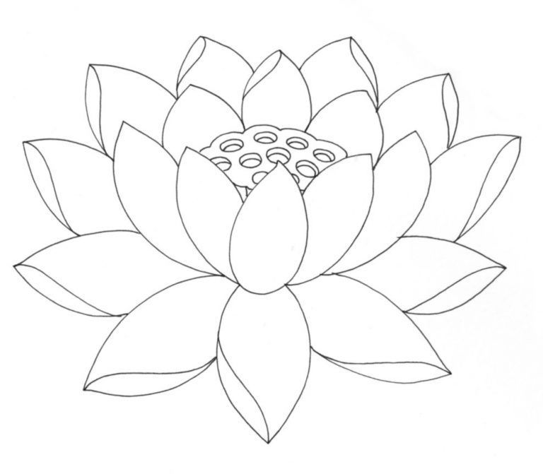 Çocuklar İçin Lotus Boyama Sayfaları 
