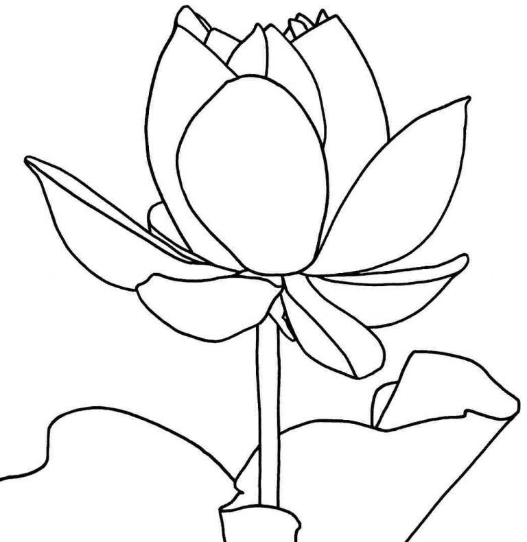 Çocuklar İçin Lotus Boyama Sayfaları 