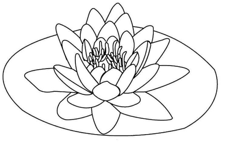 Çocuklar İçin Lotus Boyama Sayfaları 