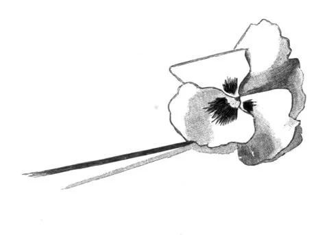 Çocuklar İçin Pansy Boyama Sayfaları 