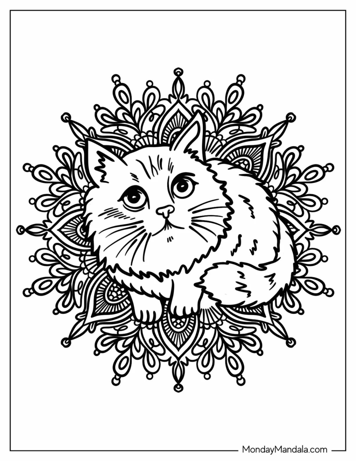 Çocuklar İçin  Yetişkinler için Animal-Mandala Boyama Sayfaları 