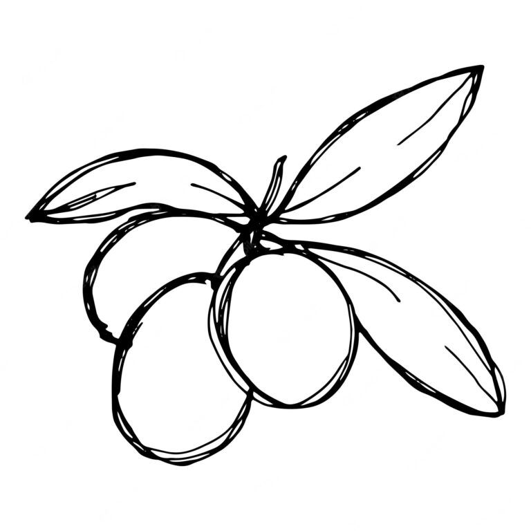 Çocuklar İçin Zeytin Boyama Sayfaları 