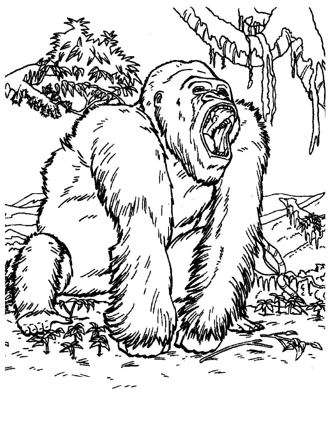 Çocuklar İçin  King-Kong Boyama Sayfaları 