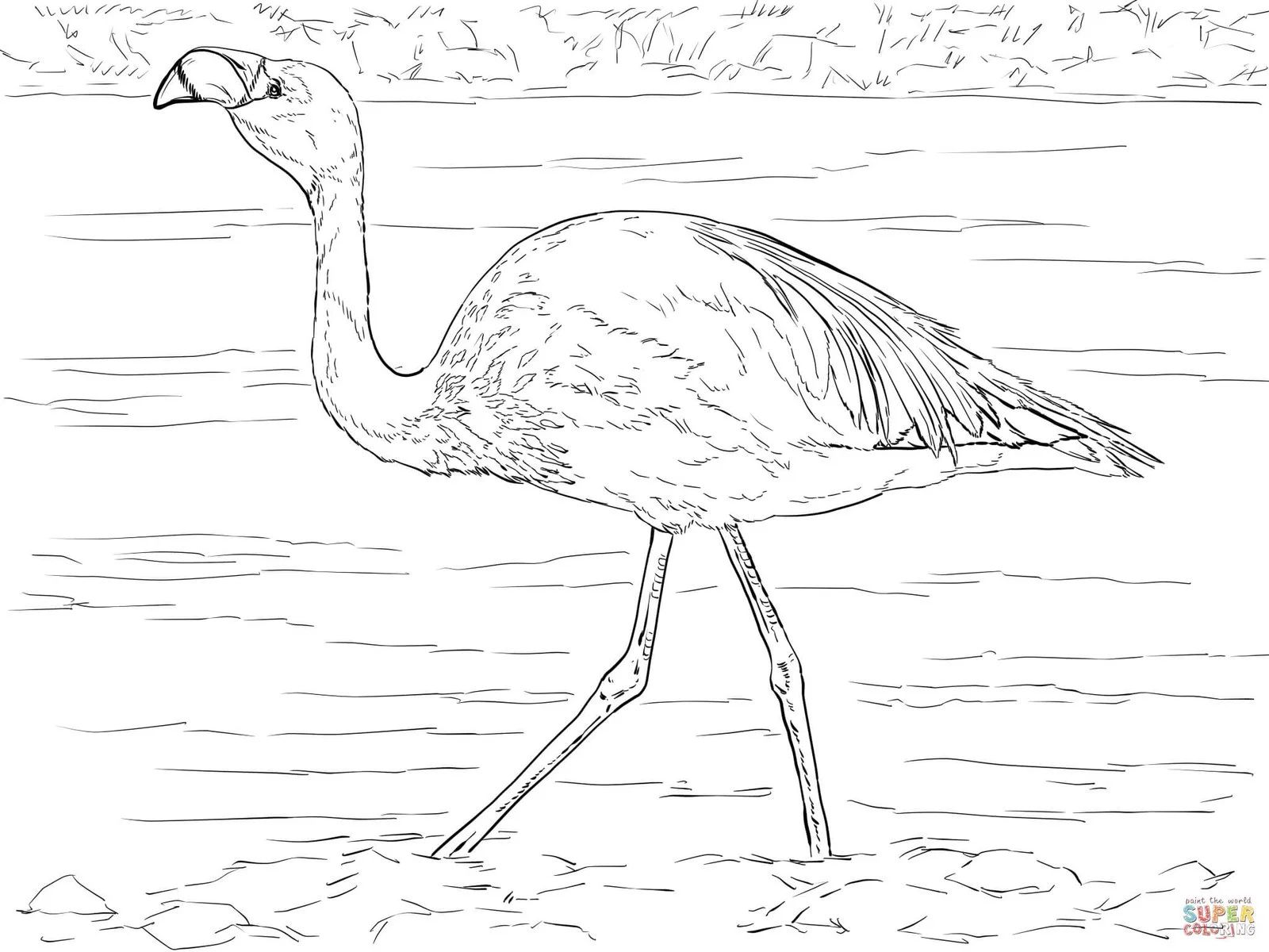Çocuklar İçin Flamingo Boyama Sayfaları 