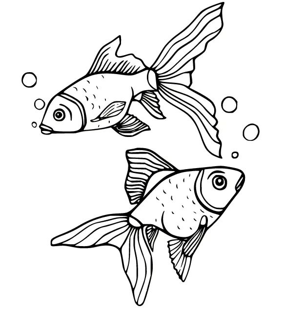 Çocuklar İçin Goldfish Boyama Sayfaları 