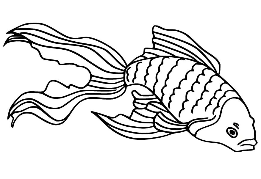 Çocuklar İçin Goldfish Boyama Sayfaları 