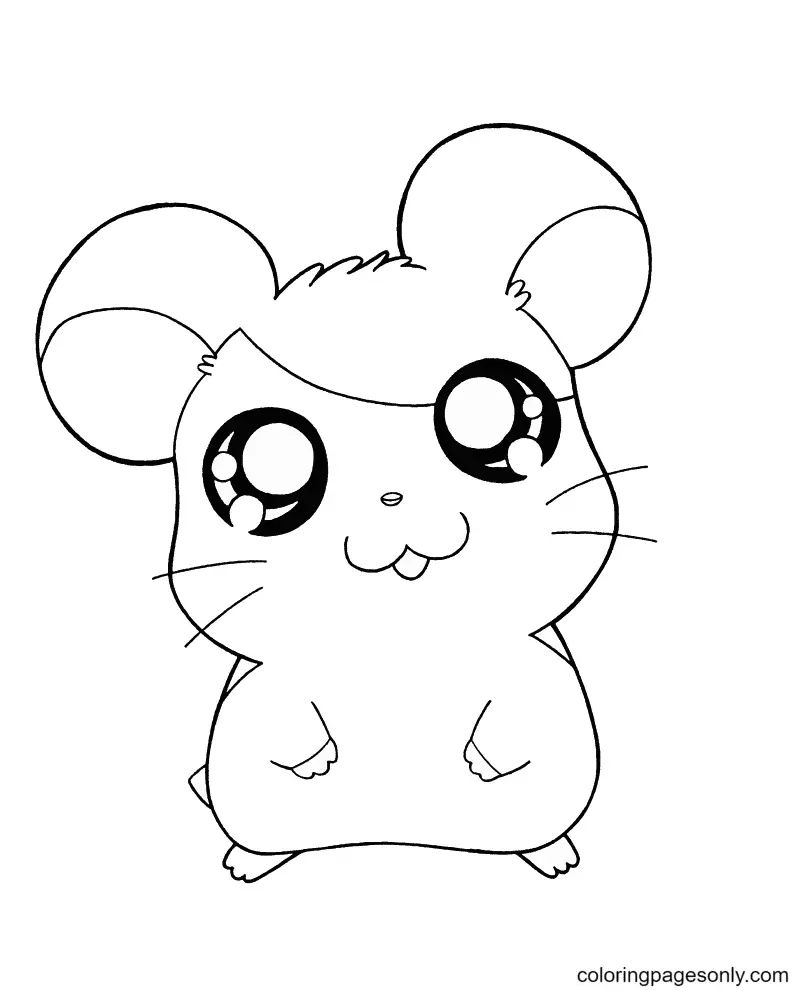 Çocuklar İçin Hamster Boyama Sayfaları 