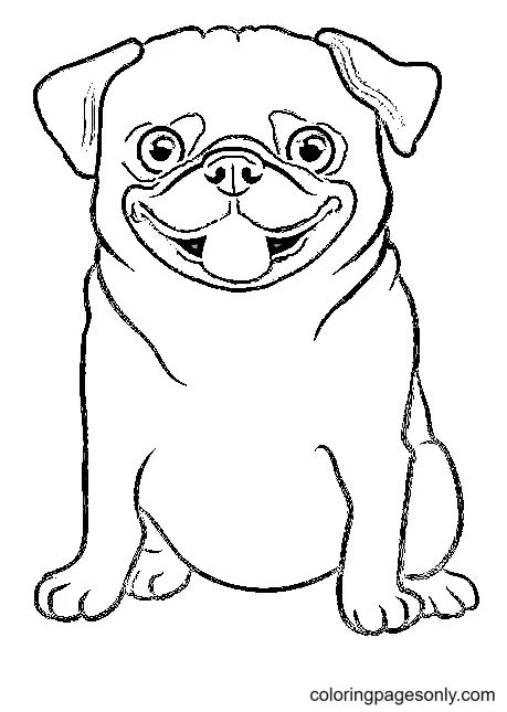 Çocuklar İçin Pug Boyama Sayfaları 