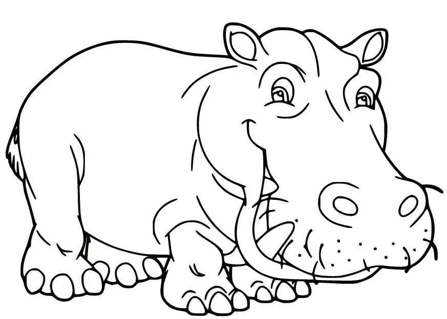 Çocuklar İçin Su-Aygırı-Hippopotam Boyama Sayfaları 