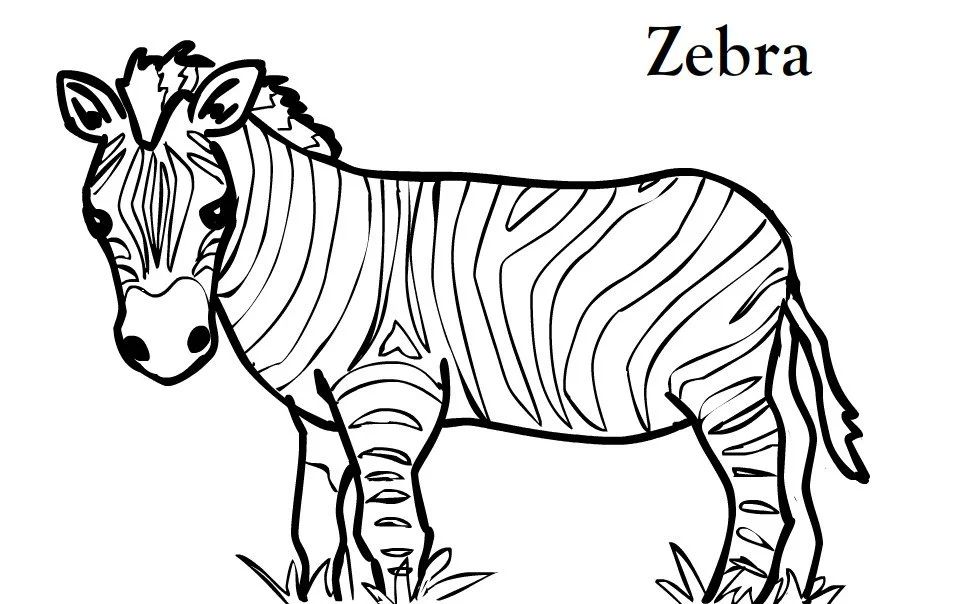 Çocuklar İçin Zebra Boyama Sayfaları 