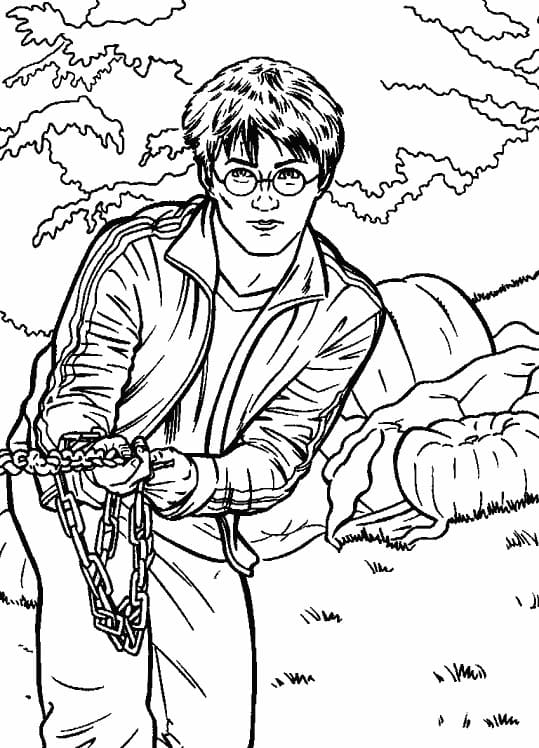 Çocuklar İçin Harry Potter Boyama Sayfaları 