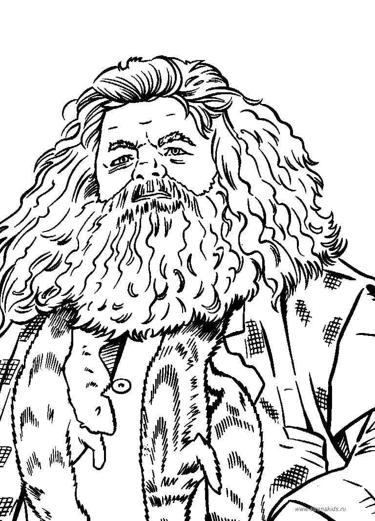 Çocuklar İçin Harry Potter Boyama Sayfaları 