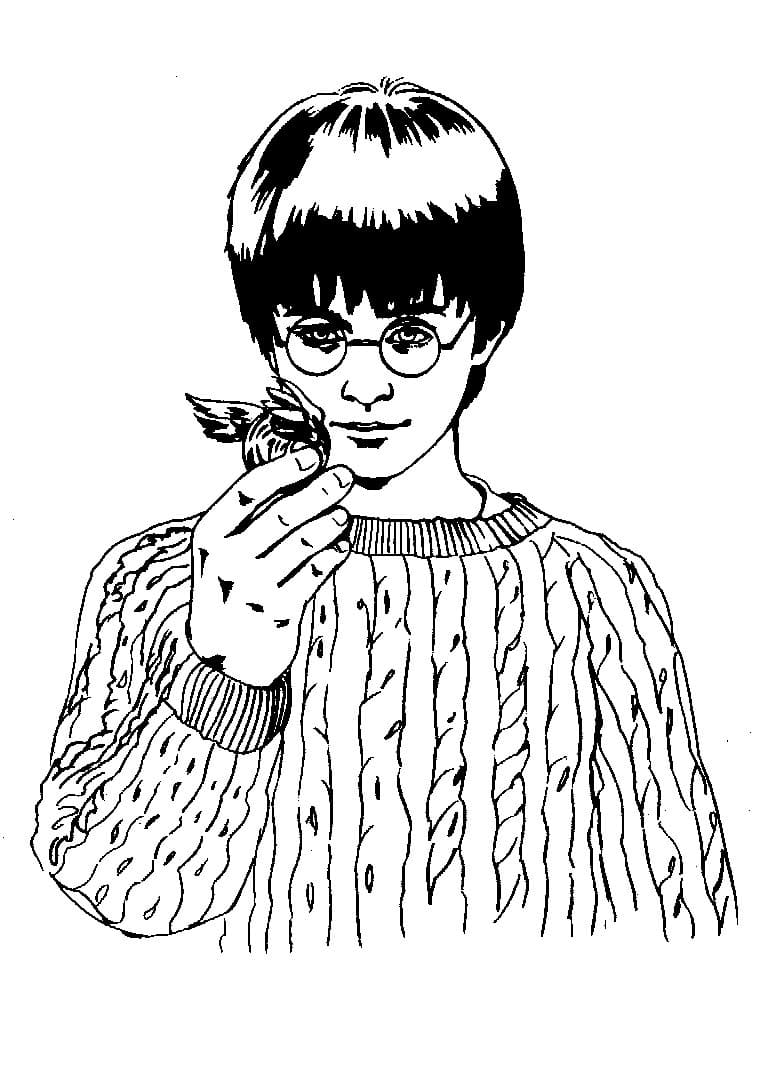 Çocuklar İçin Harry Potter Boyama Sayfaları 
