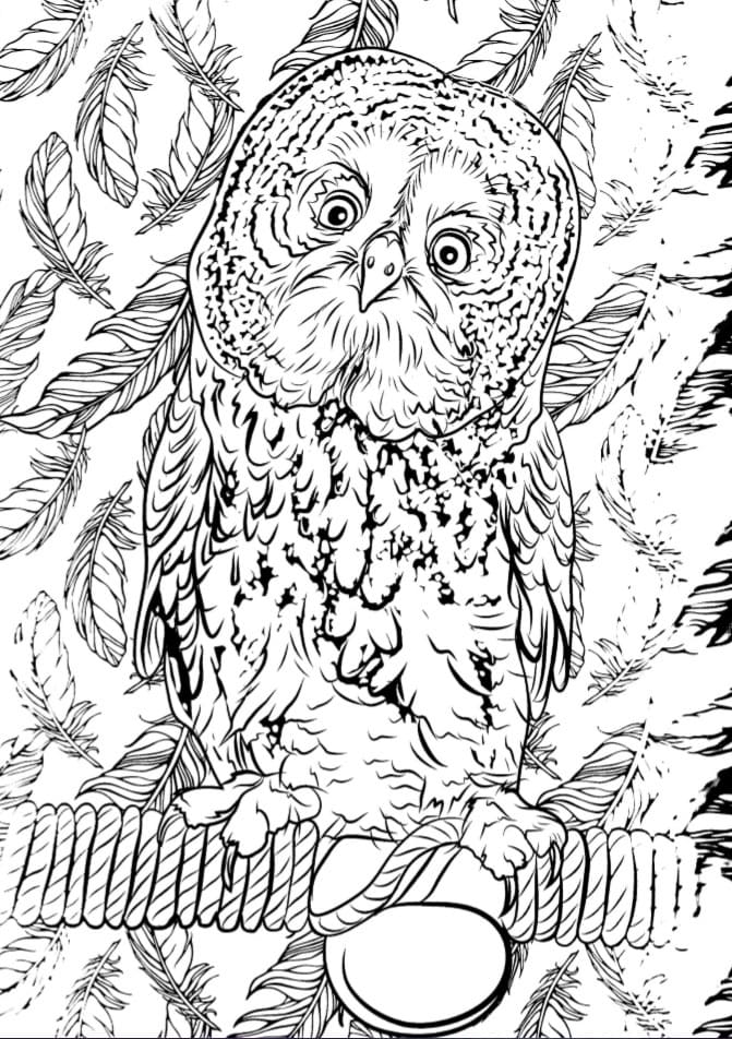Çocuklar İçin Harry Potter Boyama Sayfaları 