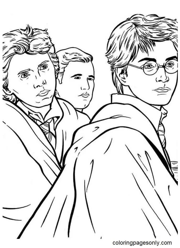 Çocuklar İçin Harry Potter Boyama Sayfaları 