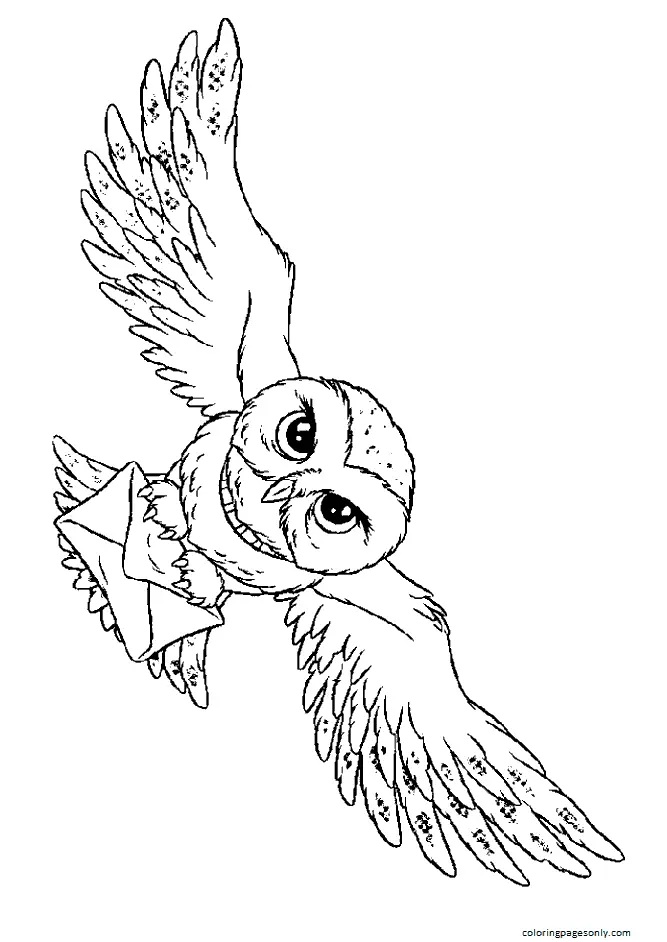 Çocuklar İçin Harry Potter Boyama Sayfaları 