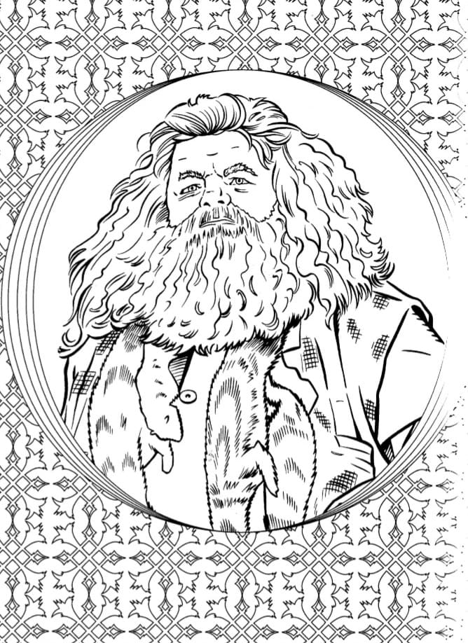 Çocuklar İçin Harry Potter Boyama Sayfaları 