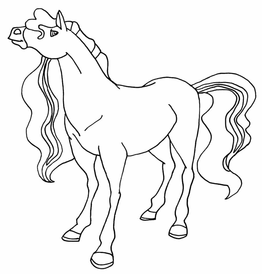 Çocuklar İçin Horseland Boyama Sayfaları 