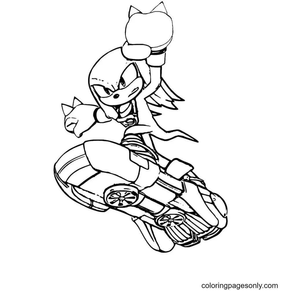 Çocuklar İçin Knuckles Boyama Sayfaları 