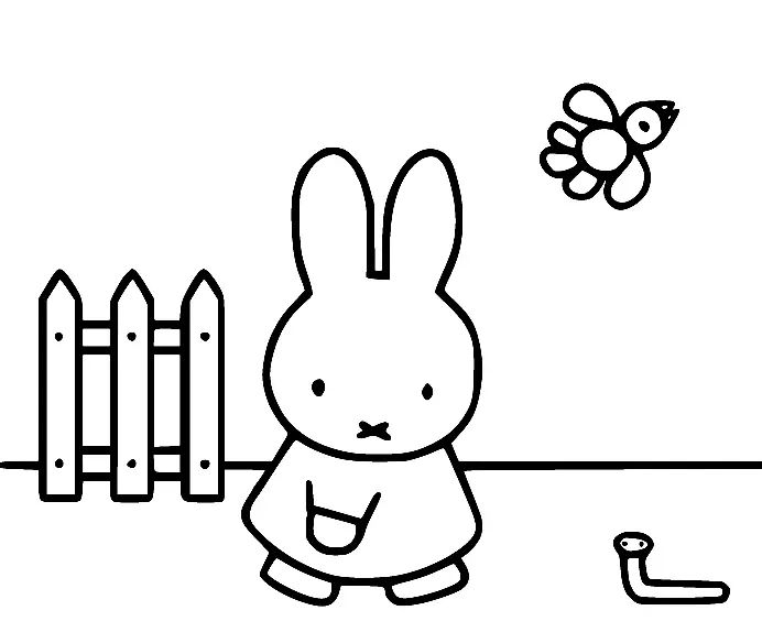 Çocuklar İçin Miffy Boyama Sayfaları 