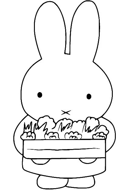 Çocuklar İçin Miffy Boyama Sayfaları 