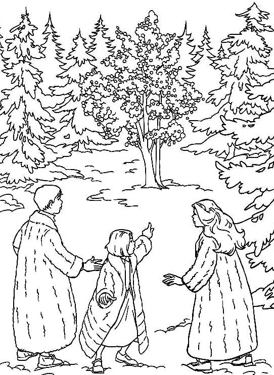 Çocuklar İçin Narnia Boyama Sayfaları 