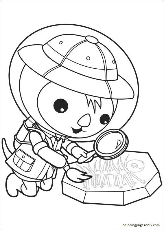 Çocuklar İçin Octonauts Boyama Sayfaları 