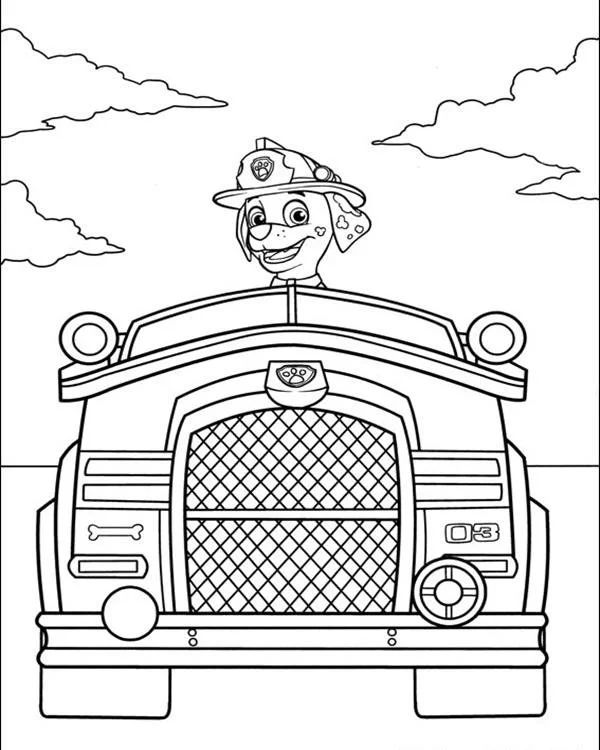 Çocuklar İçin Paw Patrol Boyama Sayfaları 