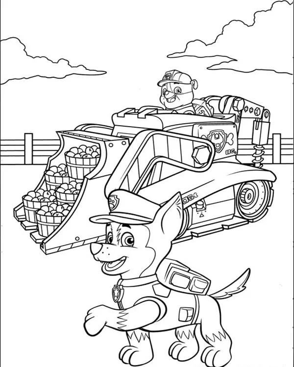 Çocuklar İçin Paw Patrol Boyama Sayfaları 