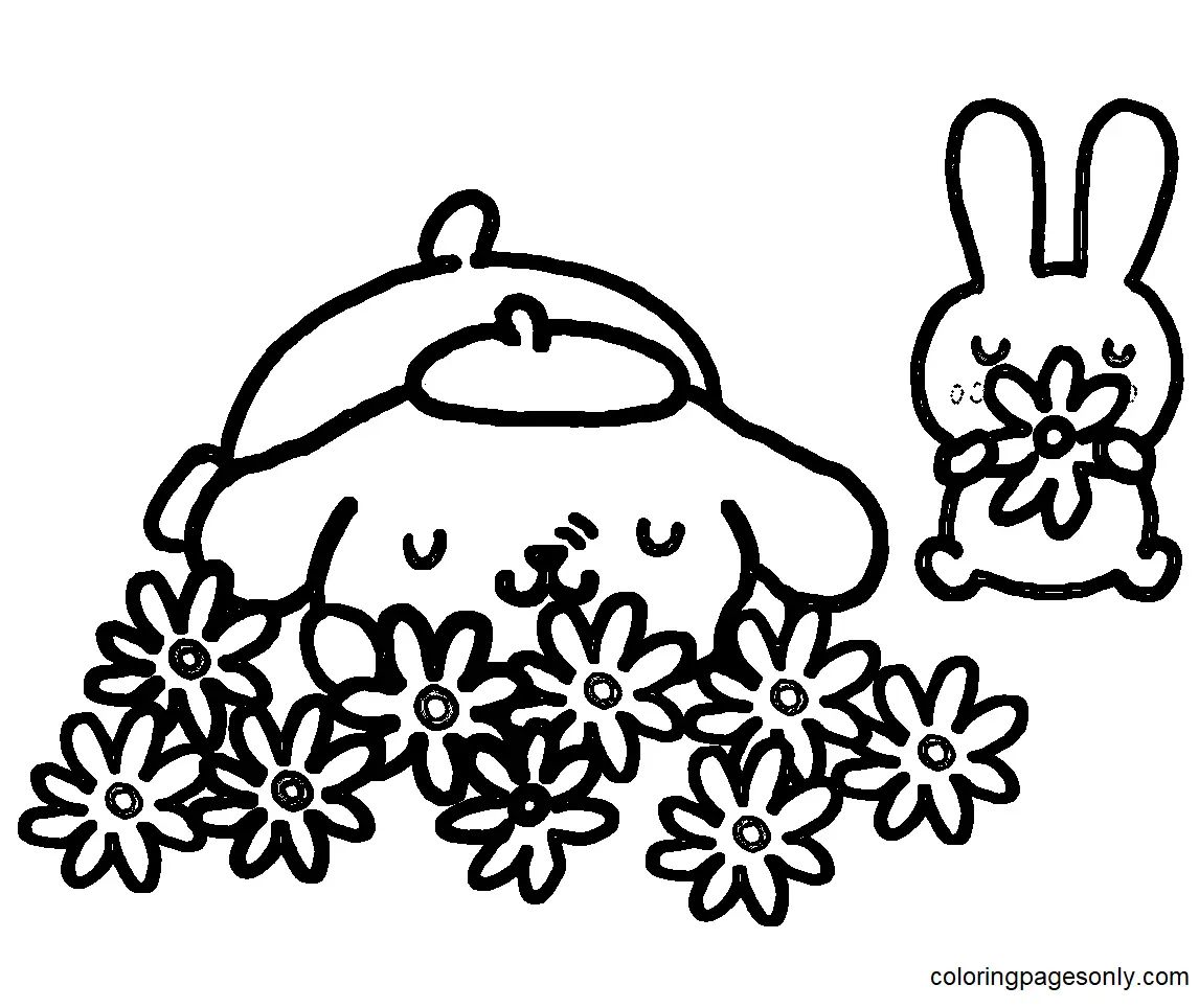 Çocuklar İçin Pompompurin Boyama Sayfaları 