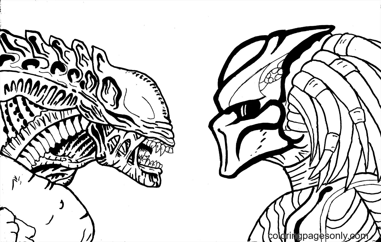 Çocuklar İçin Predator Boyama Sayfaları 