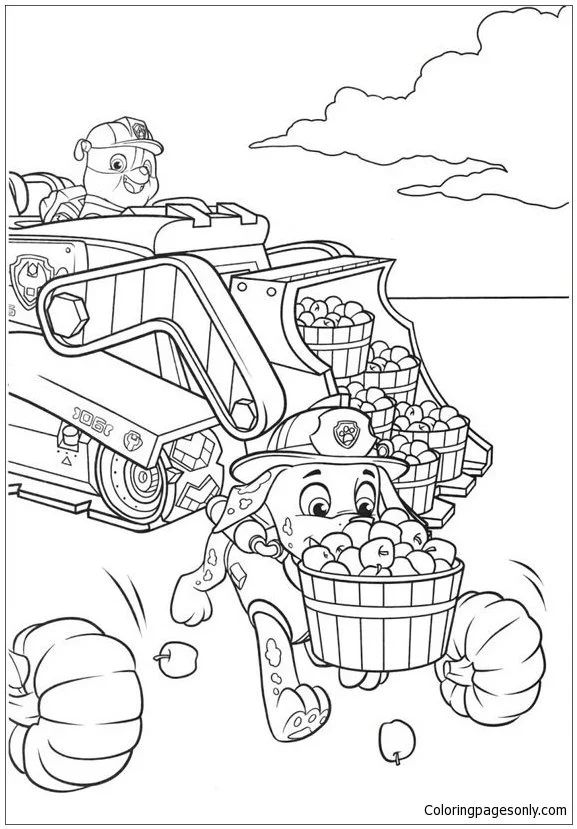 Çocuklar İçin Rubble Paw Patrol Boyama Sayfaları 