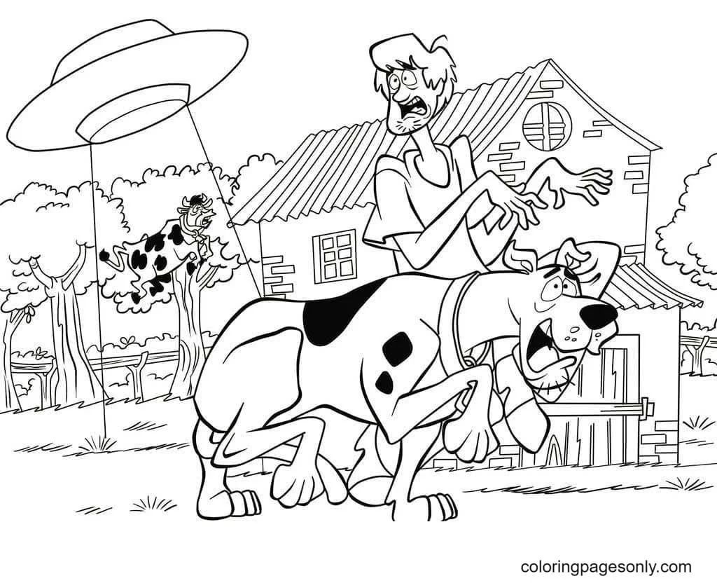 Çocuklar İçin Scooby Doo Boyama Sayfaları 