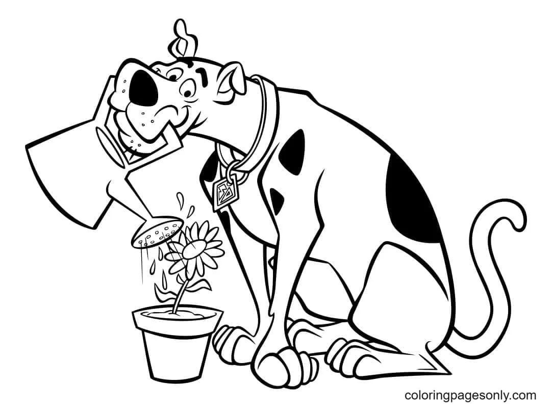 Çocuklar İçin Scooby Doo Boyama Sayfaları 