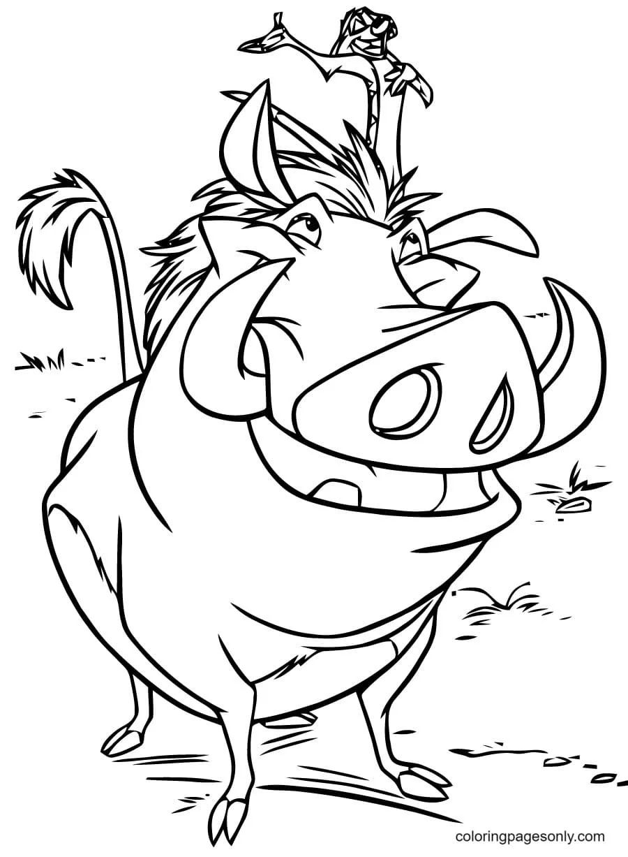 Çocuklar İçin Timon ve Pumbaa Boyama Sayfaları 