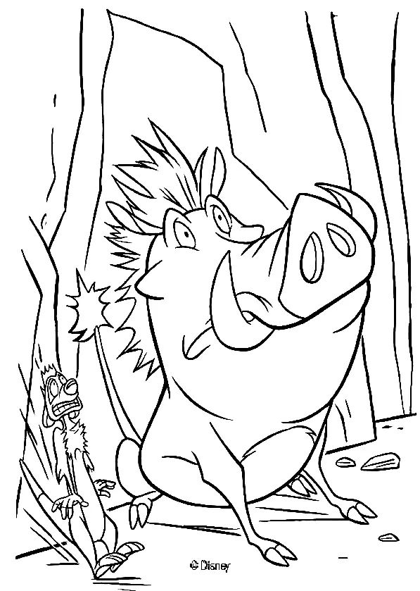 Çocuklar İçin Timon ve Pumbaa Boyama Sayfaları 