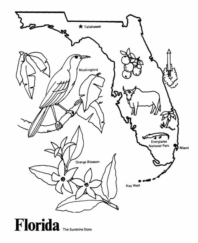 Çocuklar İçin  Ülkeler Medeniyetler Florida Boyama Sayfaları 