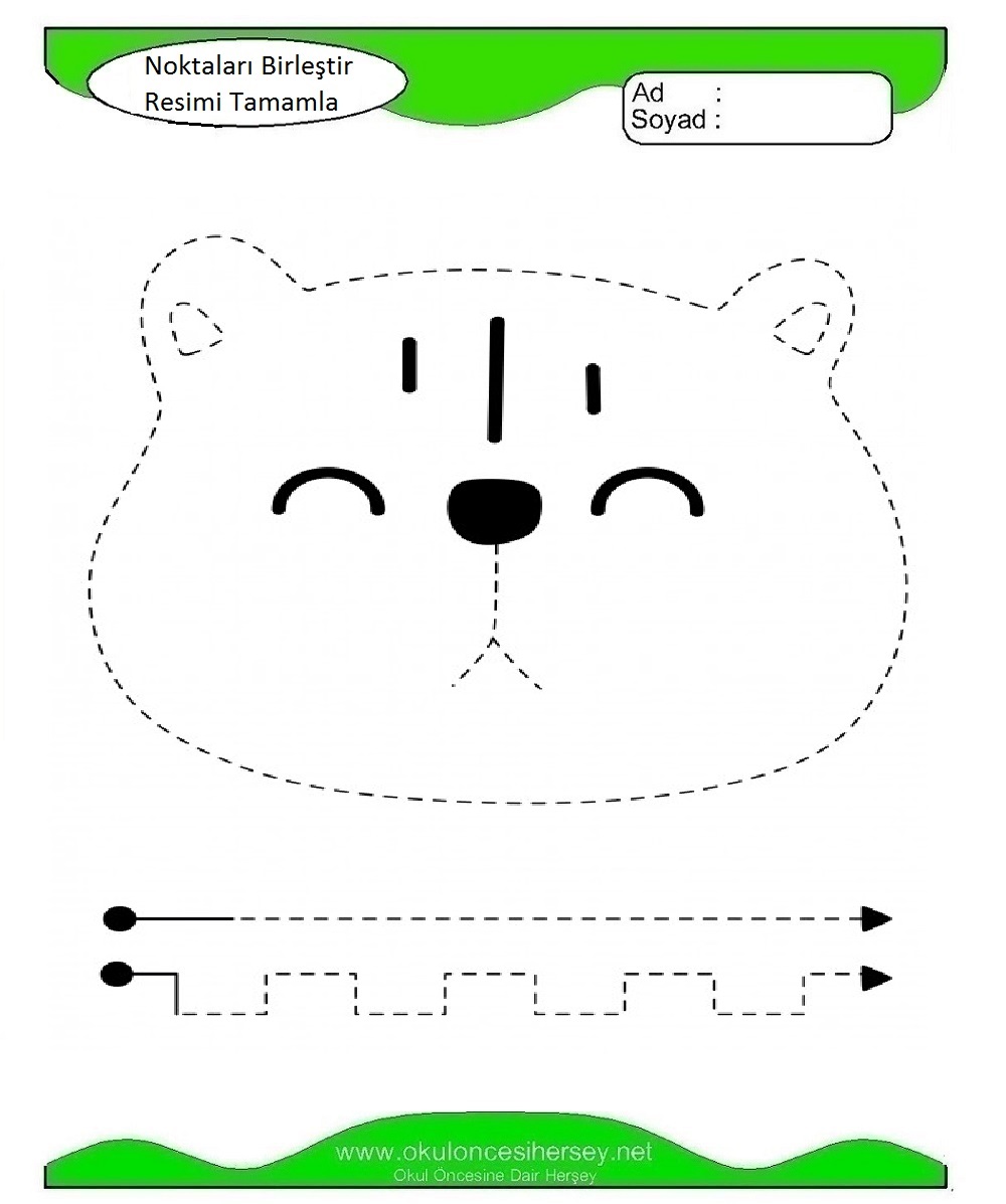 Çizgi Çalışmaları